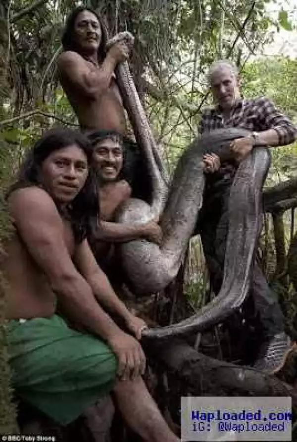 Largest ever Anaconda is captured in Ecuador (photos)